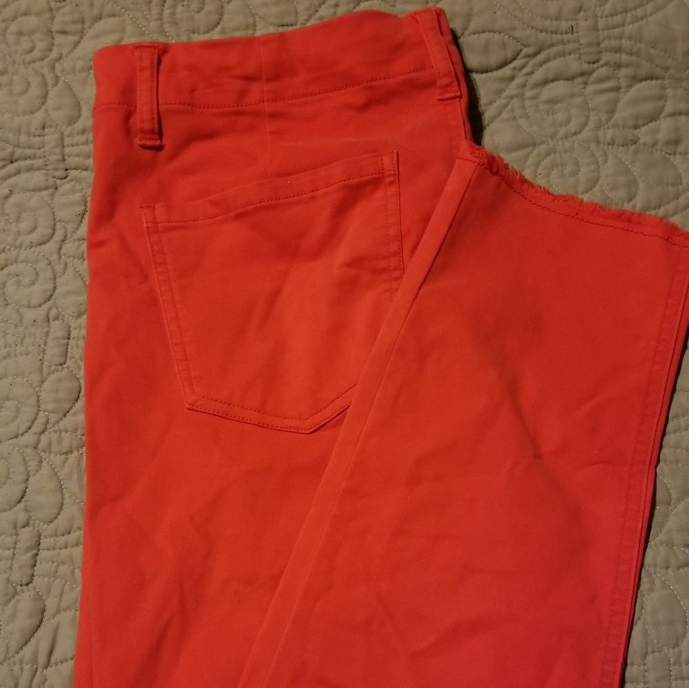 Tinsel Frayed Hem Chino Pant